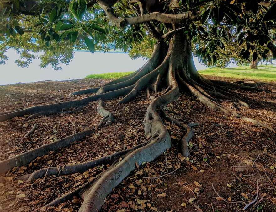 An Inspired Poem: Grounded